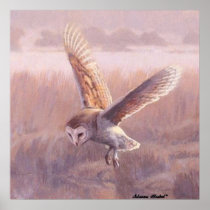 Barn Owl Poster