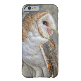 Barn Owl Profile Barely There iPhone 6 Case