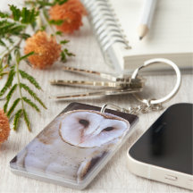 barn owl rectangular acrylic key chains