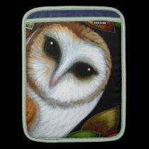 BARN OWL Rickshaw Sleeve rickshaw sleeves