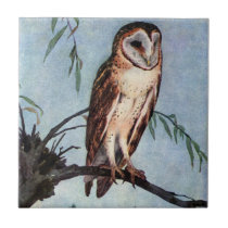 Barn Owl Sitting on a Willow Branch Ceramic Tiles