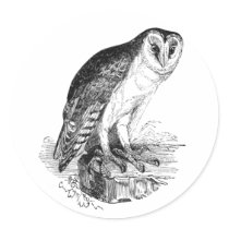 Barn Owl Round Stickers