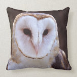 barn owl throw pillow