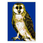 Barn Owl Tshirts, Hoodies, Mugs, Buttons Greeting Cards