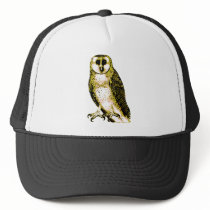 Barn Owl Tshirts, Hoodies, Mugs, Buttons Mesh Hats