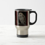 Barn Owl (Tyto alba) mugs