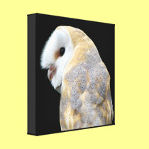 Barn Owl Wrapped Canvas Print canvas prints