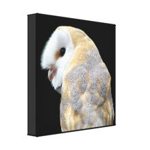 Barn Owl Wrapped Canvas Print