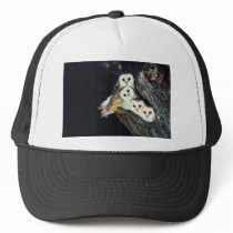 Barn Owls in a Tree Mesh Hat
