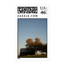 Barn stamps