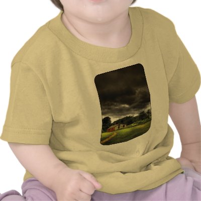 Barn - Storms a comin Tshirt by suburbanscenes