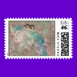 Barn Swallow Fantasy - Birds in a nest stamps