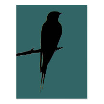Barn Swallow green Postcard