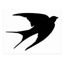 Barn Swallow Post Card