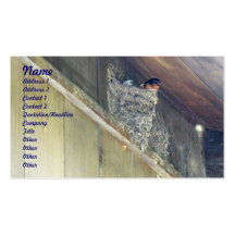 Barn Swallow Series Business Card