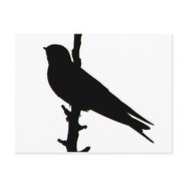 Barn Swallow silhouette Postcard