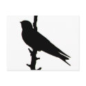 Barn Swallow silhouette Postcard