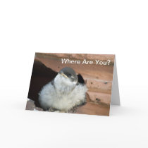 Barn Swallow Valentine Card