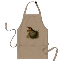 Barn Swallows aprons