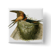 Barn Swallows buttons