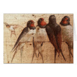 Barn Swallows Card Barn Swallows Card