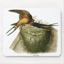 Barn Swallows mousepads