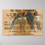 Barn Swallows Vintage posters