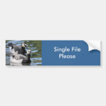 Barnacle Duet Bumper Sticker