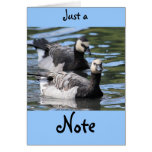 Barnacle Duet Greeting Card