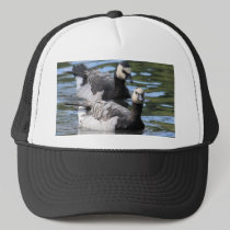 Barnacle Duet hats