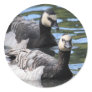 Barnacle Duet Round Stickers
