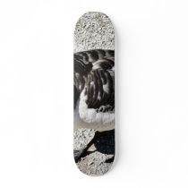 Barnacle Goose Animal Skate Board Deck