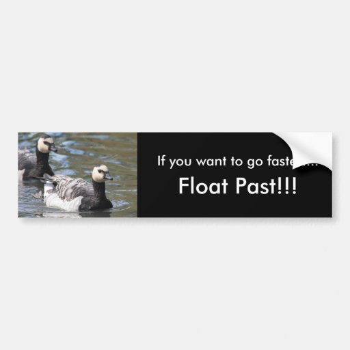 Barnacle Goose Bumper Sticker