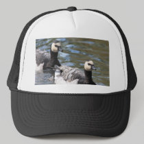 Barnacle Goose hats