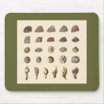 Barnacle mousepad