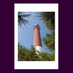 Barnegat Light and Pines