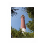 Barnegat Light and Pines