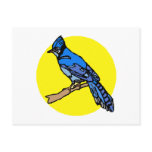 Barney Blue Jay Postcard