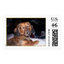 BARNEY postage by allstar_softball06 BARNEY postage