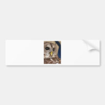 Barney the Owl Bumper Sticker