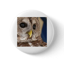Barney the Owl Button