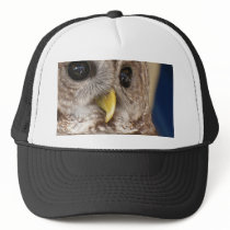 Barney the Owl Hats