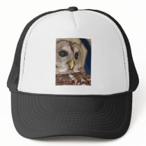 Barney the Owl Trucker Hats