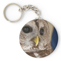 Barney the Owl Keychains