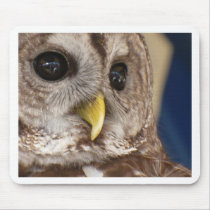 Barney the Owl Mouse Mats