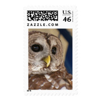 Barney the Owl Stamp