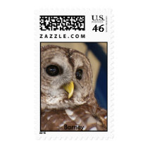 Barney The Owl postage
