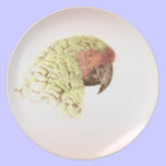 Barney the Parrot plates