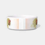 Barney's Birdbath pet bowls