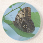Barnowl Butterfly Beverage Coasters
